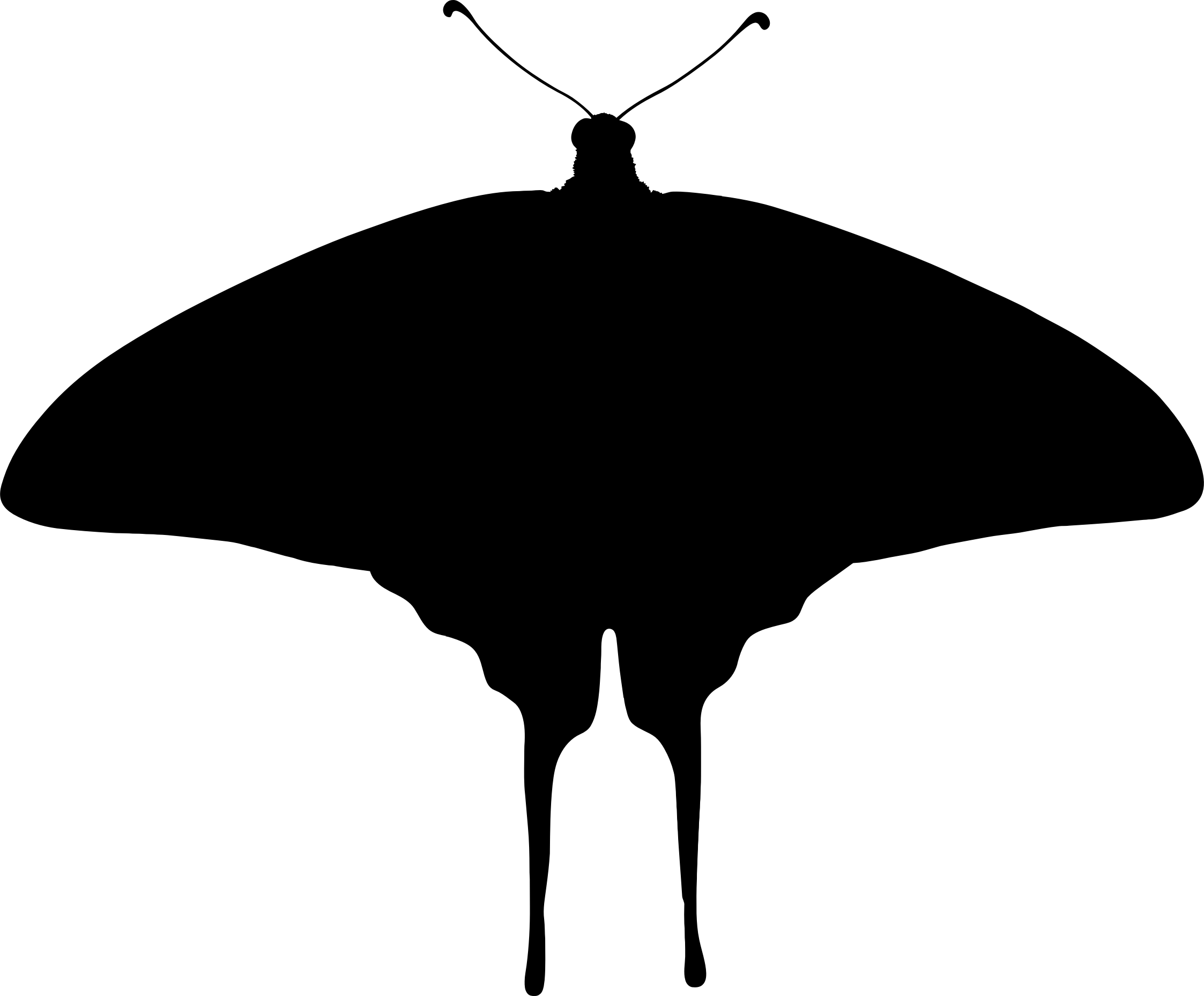 Clipart - Lepidoptera - Png Download (2246x1860), Png Download