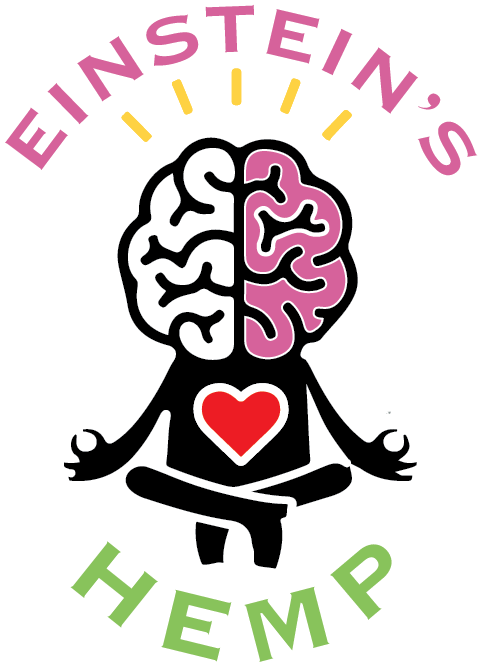 Einstein's Hemp - Analogy Practice For Junior Secondary School: Vocabulary Clipart (528x708), Png Download