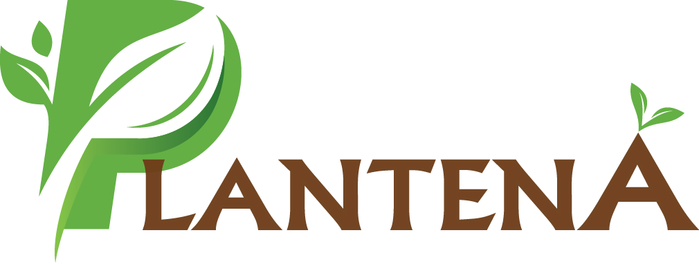 Logo Plantena - Graphic Design Clipart (1010x382), Png Download