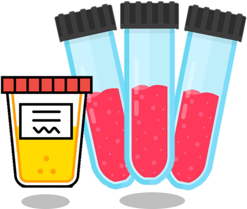 The Gold Standard - Gold Clipart (819x606), Png Download