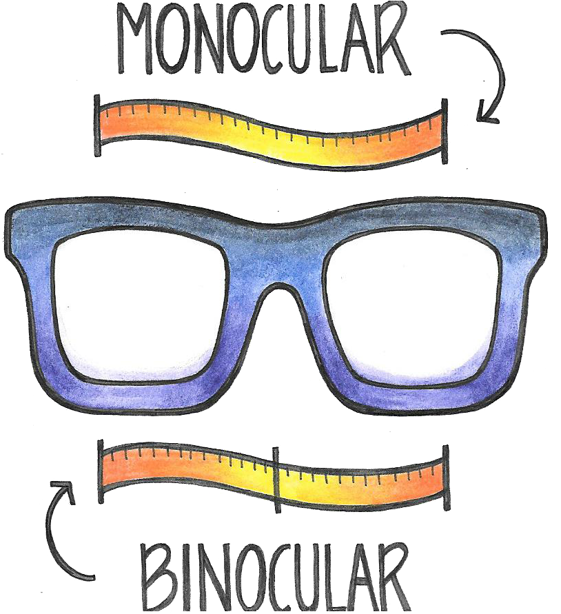 Monocular And Binocular Pupillary Distance Clipart (831x890), Png Download