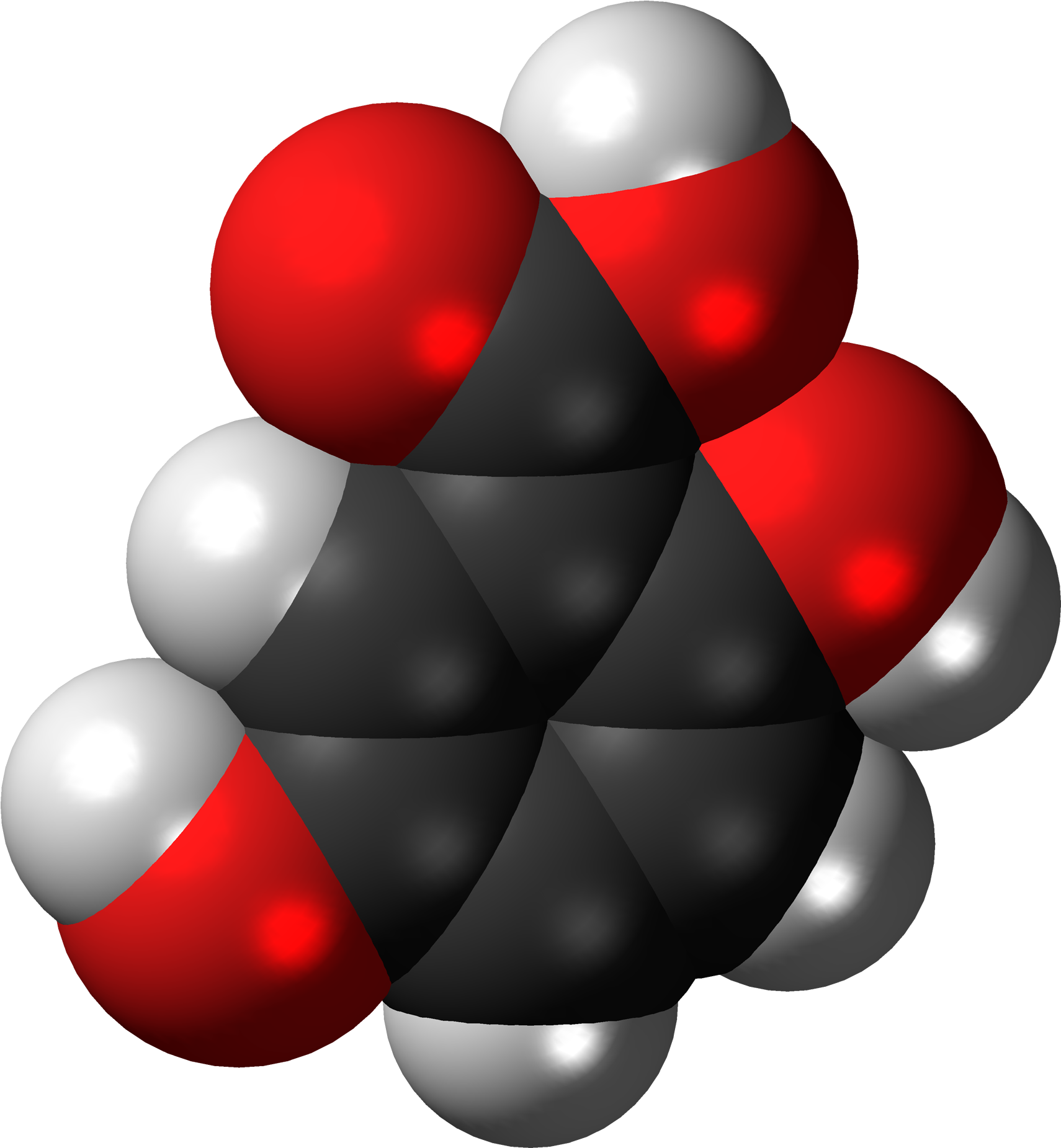 Wikimedia Commons Clipart (1859x2000), Png Download