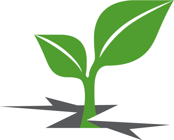 Plant Sprout Clipart - Png Download (1000x789), Png Download