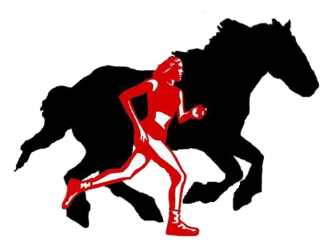 Thundering Hooves 5k - Stallion Clipart (540x720), Png Download
