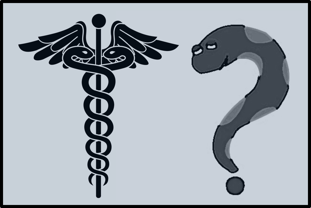 What Is The Difference Between The Different Types - Vara De Hermes Png Clipart (1022x685), Png Download