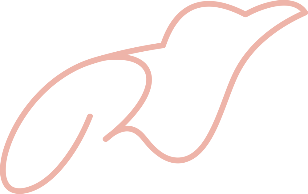 Raven Ashley Brown Clipart (1000x631), Png Download