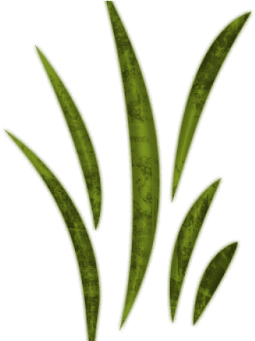 Sea Grass Clipart Wild Grass - Leaf Clipart - Png Download (640x480), Png Download