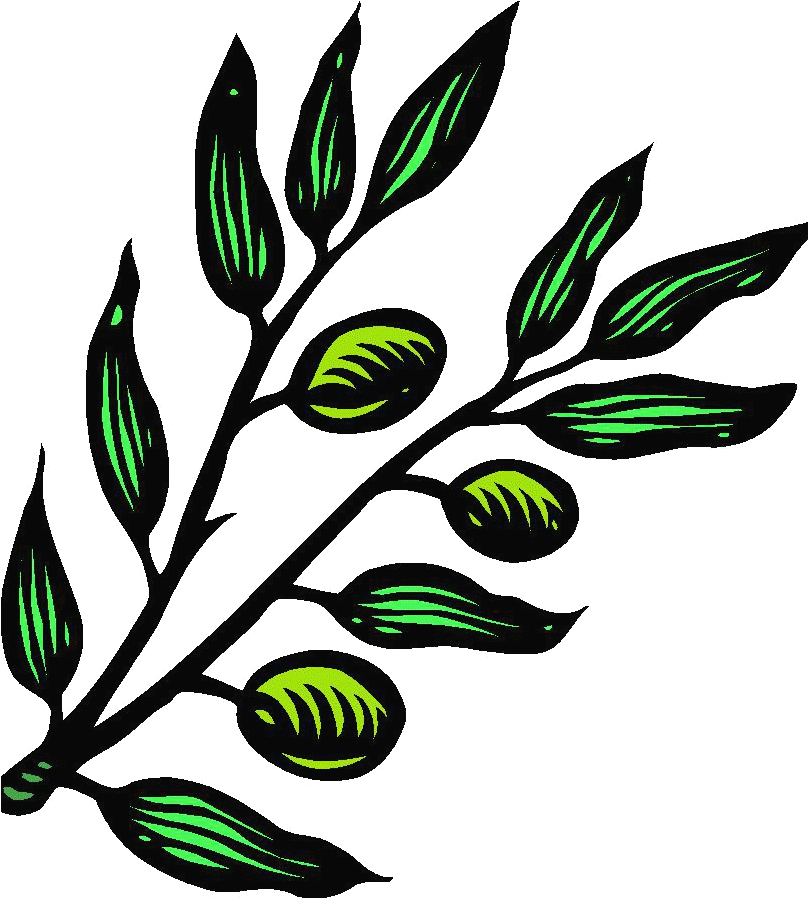 Free Online Website Malware Scanner - Olives Tree Branch Cliparts - Png Download (807x914), Png Download