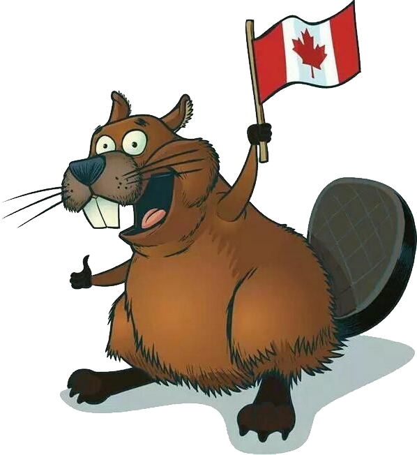 Beaver Png In High Resolution - Canada Inventions Clipart (598x652), Png Download