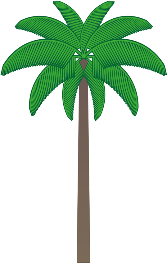 Many Of Them Are Exclusive From Colombia, And Some - Roystonea Clipart (600x880), Png Download