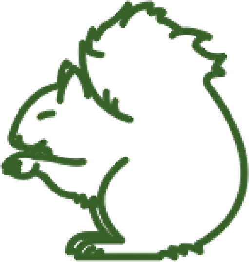 Protecting Vulnerable Species - Drawing Clipart (698x698), Png Download