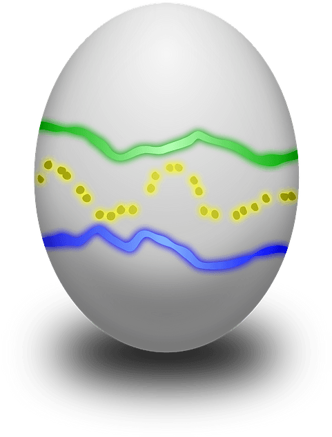 Medium Image - Clip Art - Png Download (566x800), Png Download