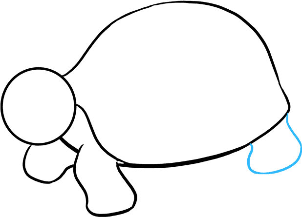 How To Draw Sea Turtle Clipart (680x678), Png Download