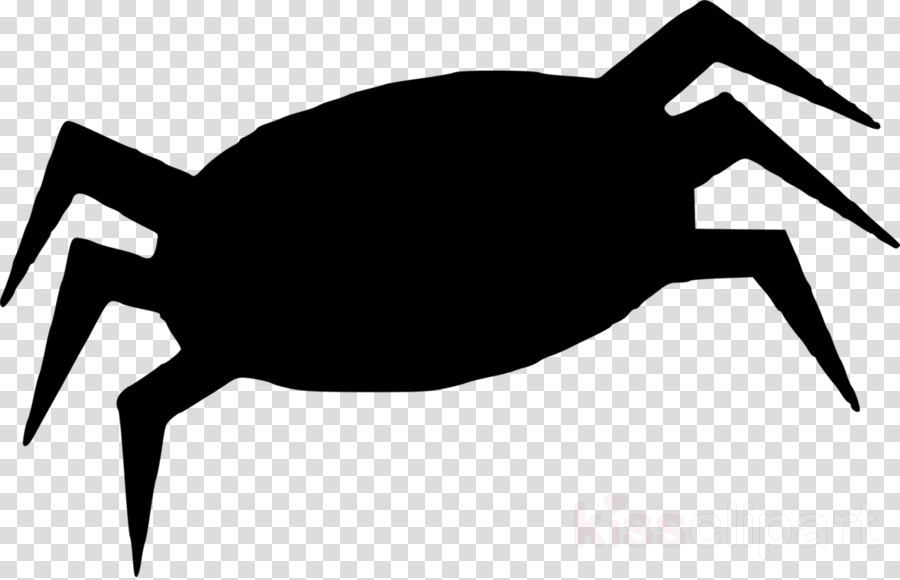 Clipart Resolution 1170*750 - Spider Drawing Black - Png Download (900x580), Png Download