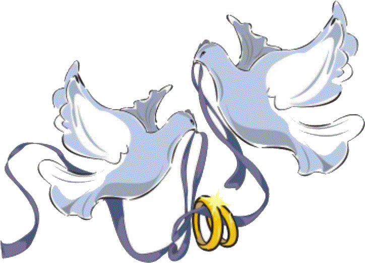 Palomas De Boda Related Keywords - Anillos De Bodas Con Palomas Clipart (852x636), Png Download