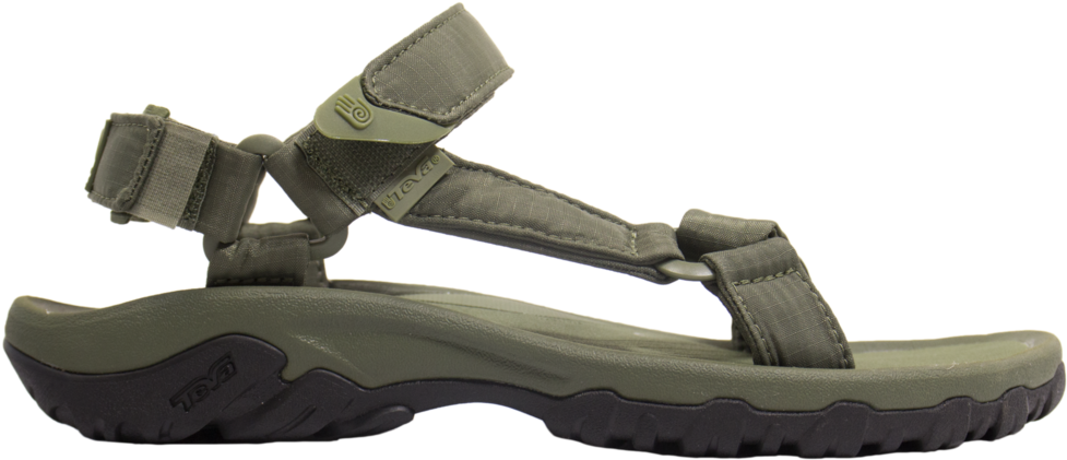 Sold Out - Fisherman Sandal Clipart (1024x460), Png Download