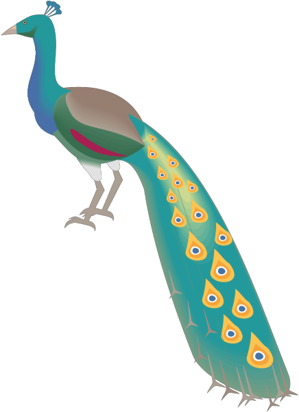 Free Peacock Clipart 11, Buy Clip Art - Png Download (520x720), Png Download