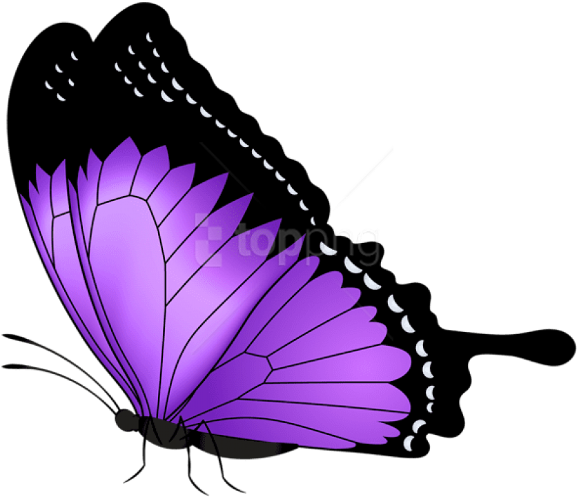 Purple Butterfly Transparent Png Clip Art Image Gallery - Violet Butterfly Transparent (600x514), Png Download