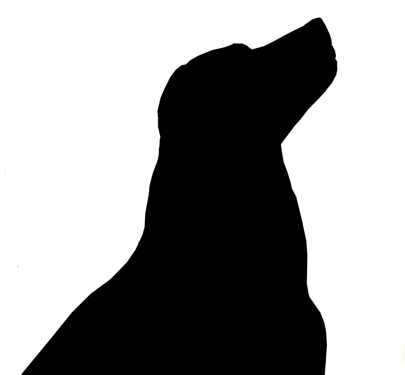 Silhouette Of A Black Lab Clipart (809x743), Png Download