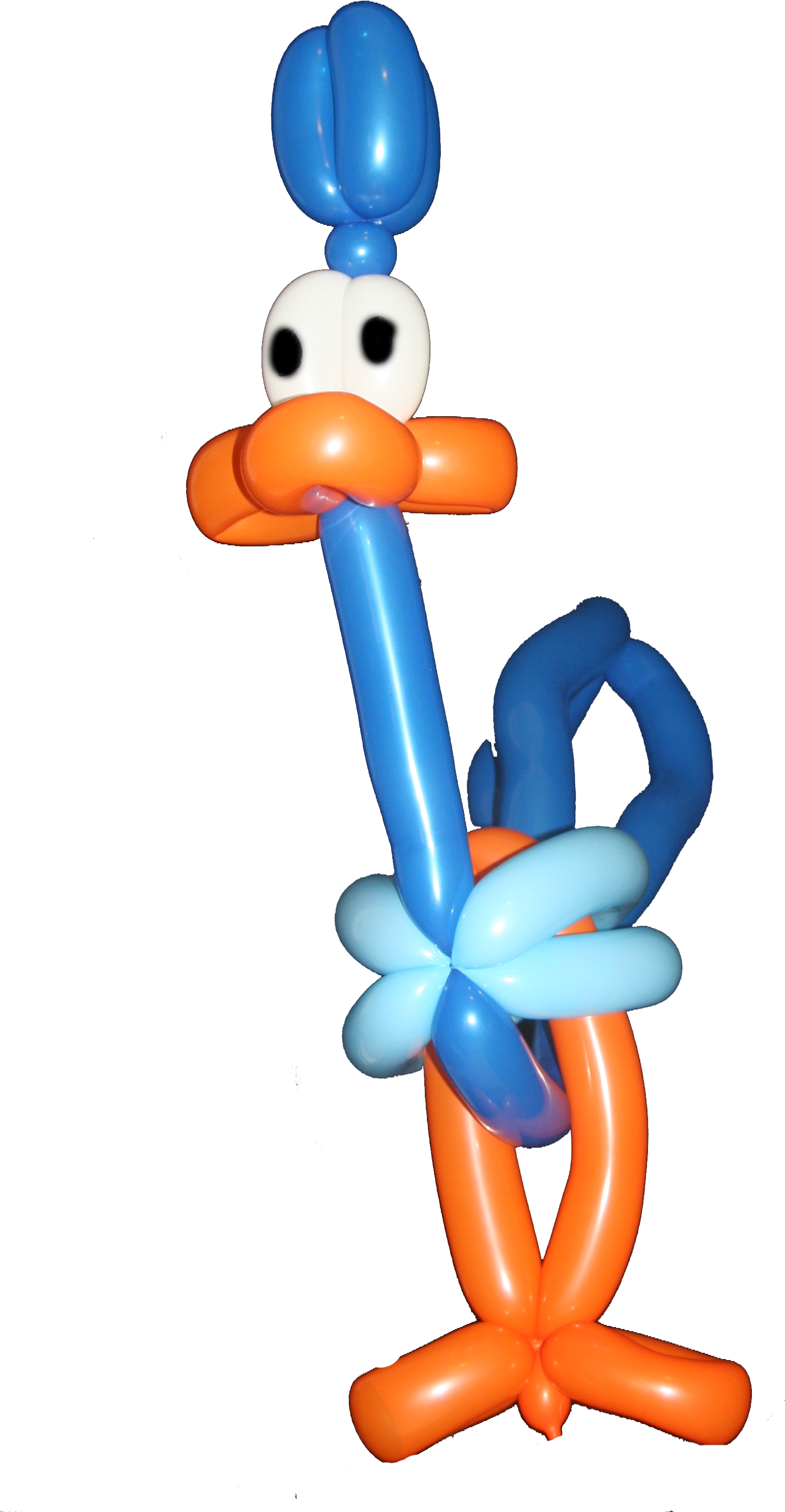 Beep Beep Www - Cartoon Clipart (2304x3456), Png Download