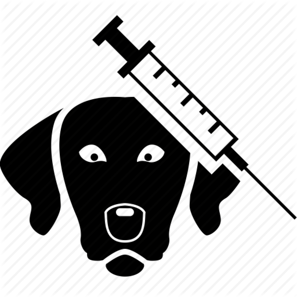 Spurlock Road Veterinary Clinic - Veterinary Icons Png Clipart - Full