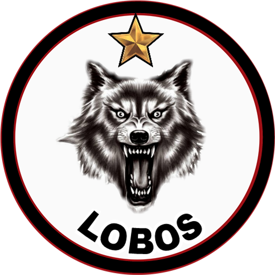 Vicious Wolf Tattoo Drawings Clipart (1024x1024), Png Download