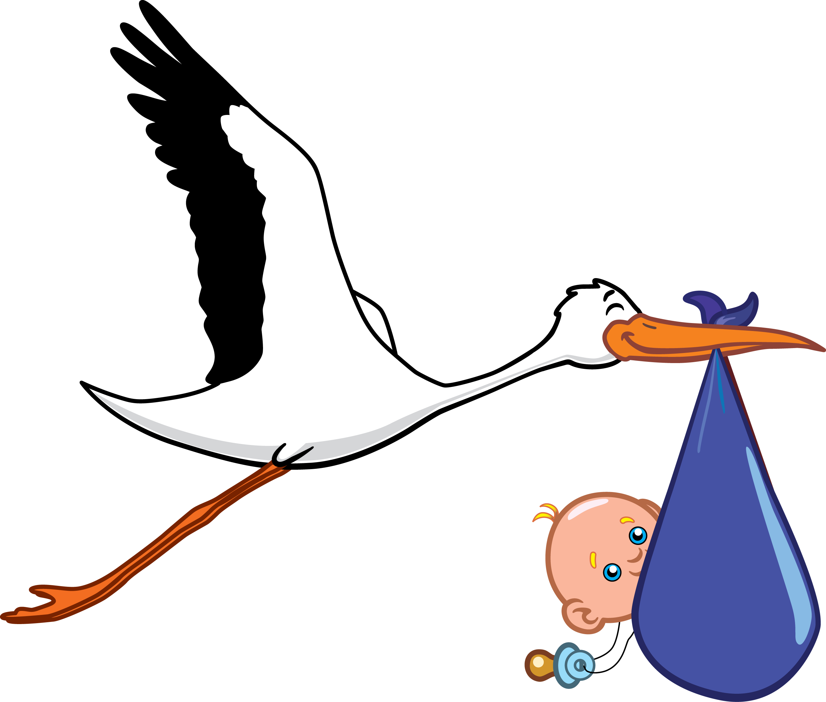 Kisspng Ciconia Wedding Invitation Infant Clip Art - Your New Baby's Instruction Book Transparent Png (2701x2297), Png Download