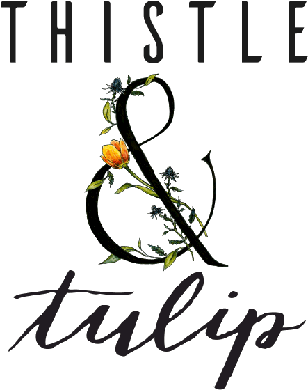 Thistle And Tulip - Photography Clipart (576x576), Png Download