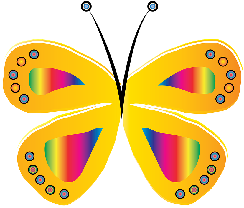 Yellow Butterfly Clipart 21, Buy Clip Art - Borboleta Amarela Com Rosa Png Transparent Png (843x720), Png Download