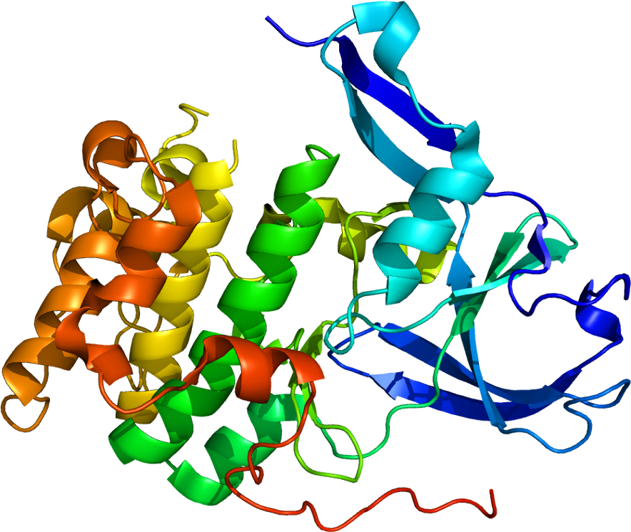 Proteina Ftsz Clipart (933x795), Png Download