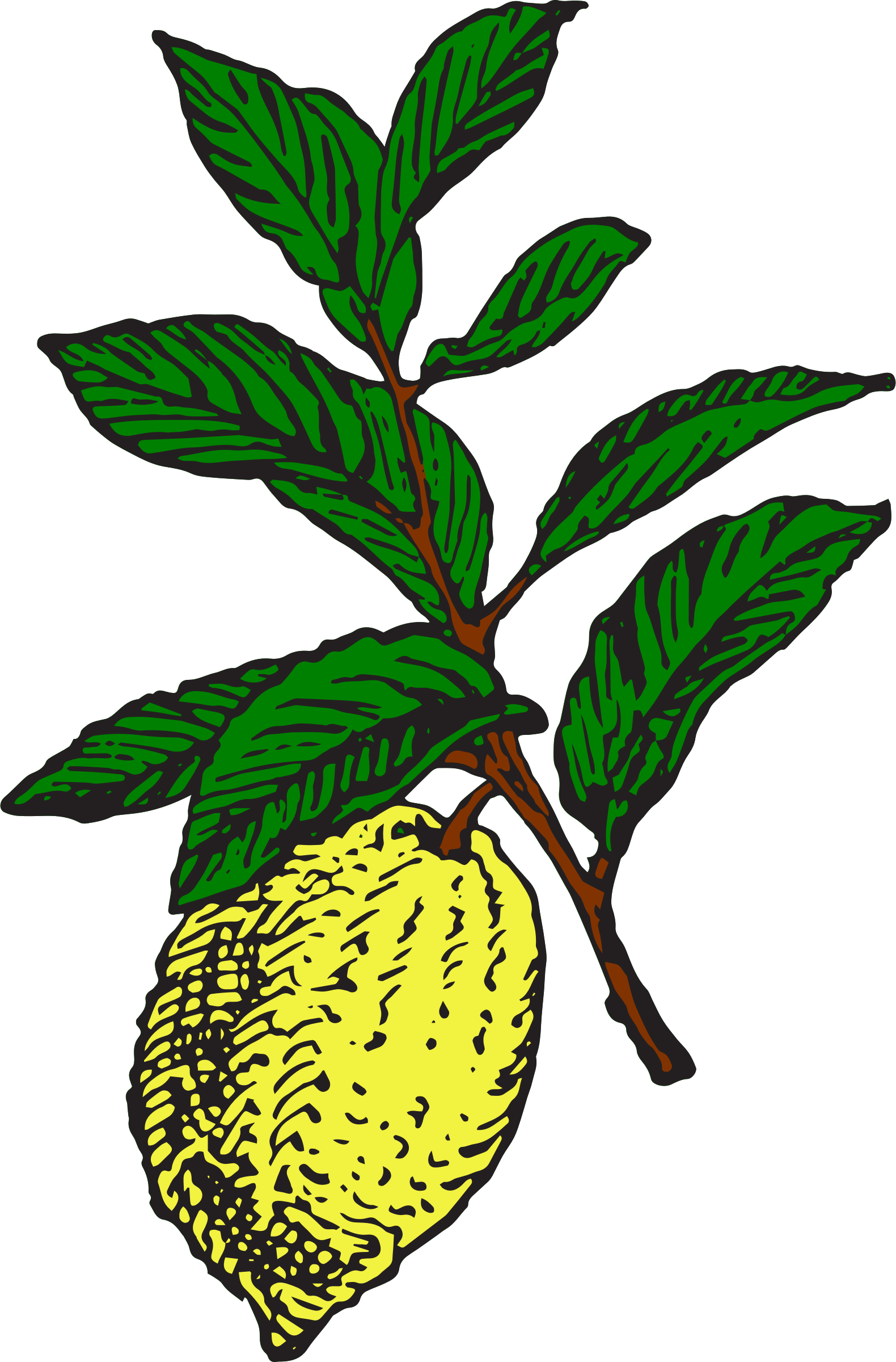 Big Image - Lemon Clipart (1580x2400), Png Download