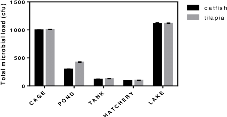 Total Microbial Load On Surfaces Of Tilapia And Catfish - Microorganism Clipart (850x453), Png Download