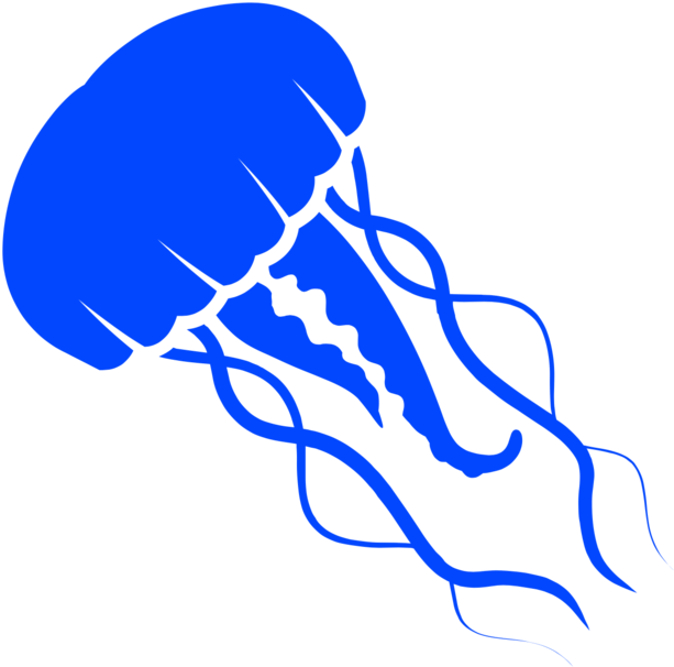 Jellyfish Clipart (1000x993), Png Download