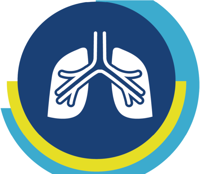 Triplex Infections In Qld - Circle Clipart (1234x571), Png Download