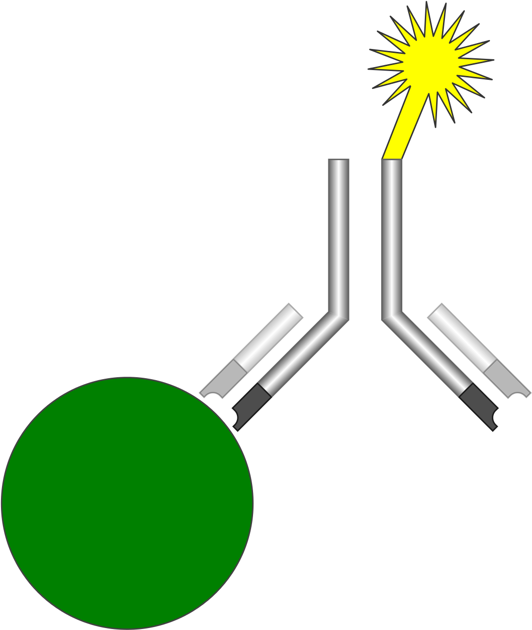 Labelled Immunoassays Clipart (1200x1400), Png Download