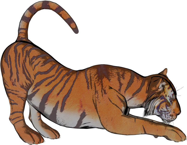 Tiger Pose 3 Of A Gazillion By Madetobeunique On Clipart - Openclipart - Png Download (900x720), Png Download