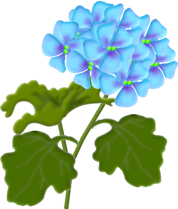 Flôres & Jardim E Etc - Clip Art - Png Download (583x722), Png Download