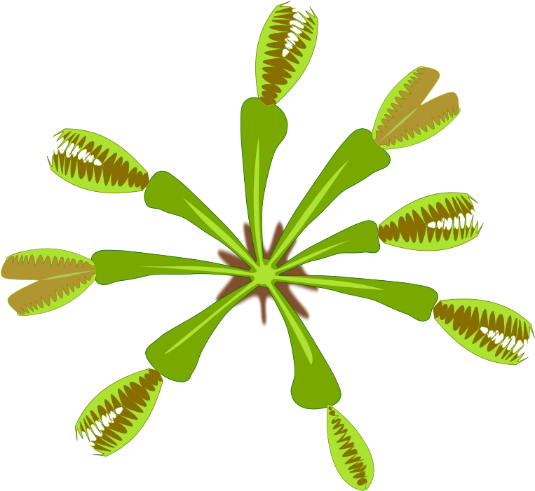 Free Plant-04 - Pdf Clipart (800x800), Png Download