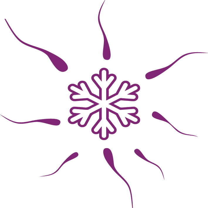 Egg Donation Donor Sperm - White Snowflake Clipart Png Transparent Png (709x709), Png Download