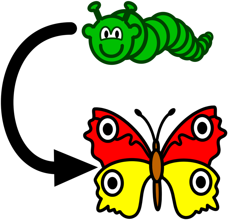 Picture - Symbolism For Change Clipart (800x800), Png Download