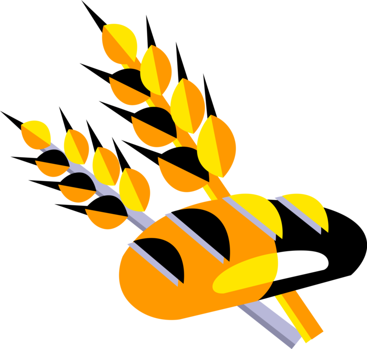 Vector Illustration Of Fresh Baked Bread With Wheat - Bread And Grains Clipart - Png Download (737x700), Png Download