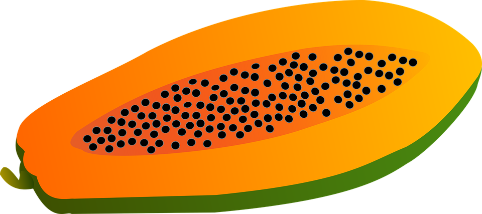 Papaya Clipart Png - มะละกอ Png Transparent Png (960x427), Png Download