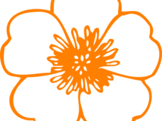 Orange Flower Clipart Single Flower - Poppy Cut Out Template - Png Download (640x480), Png Download