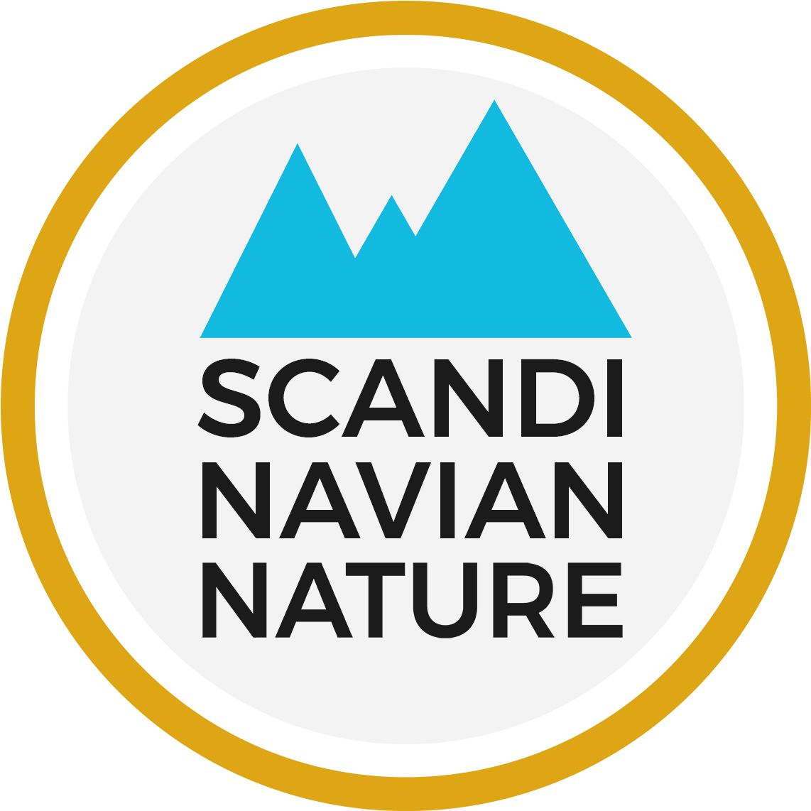 Volkswagen Clipart (1200x1200), Png Download