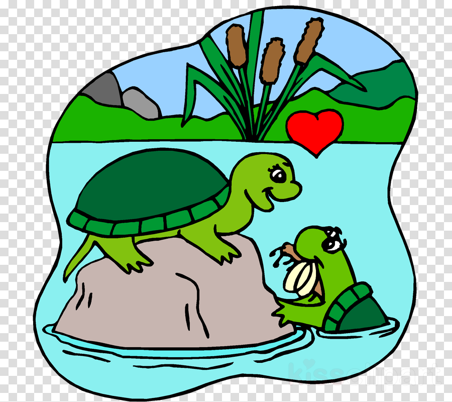 Download Turtles In Love Coloring Pages Clipart Turtle - Turtles In Love Coloring Pages - Png Download (900x800), Png Download
