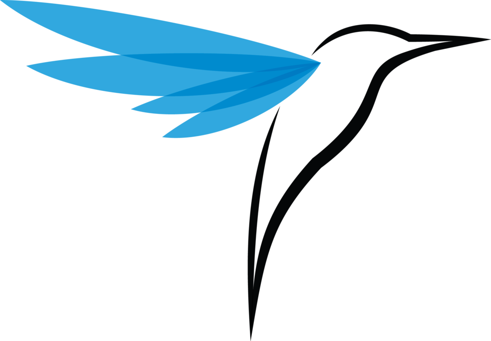 Ten Things Your Executive Summary Needs To Cover Checkit Clipart (1000x695), Png Download