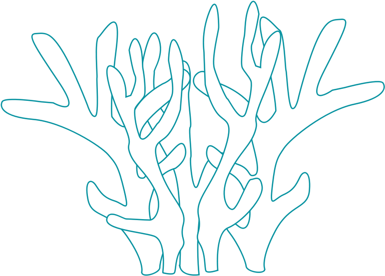 รูป วาด ปะการัง Clipart (800x597), Png Download