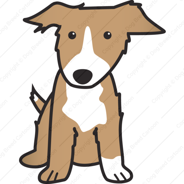 Border Collie Dog Cartoons Online Download - Collie Cartoon Clipart (600x600), Png Download