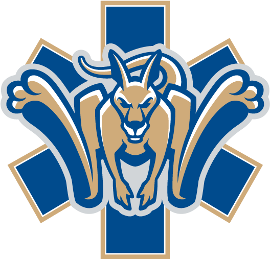 Suny Canton Ems - Suny Canton Logo Clipart (582x587), Png Download