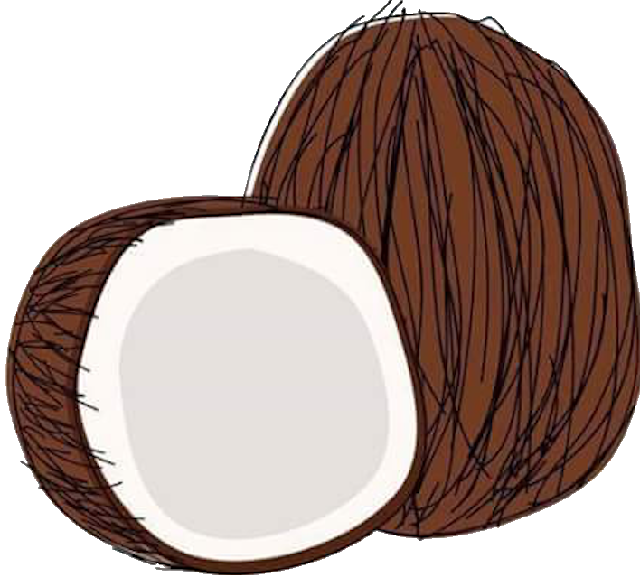Prajakta Shinde - Coconut Clipart (708x639), Png Download